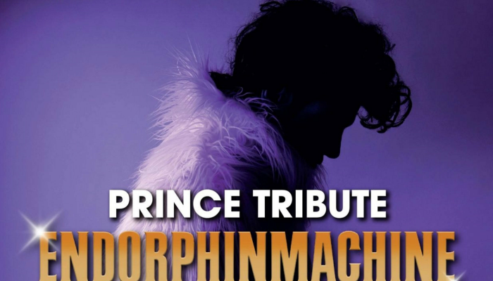 Endorphinmachine - Prince Tribute
