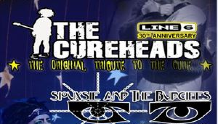 The Cureheads/Siouxie and the Budgiees