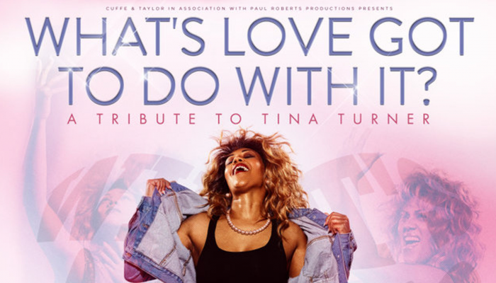 What's Love Got To Do With It? A Tribute to Tina Turner