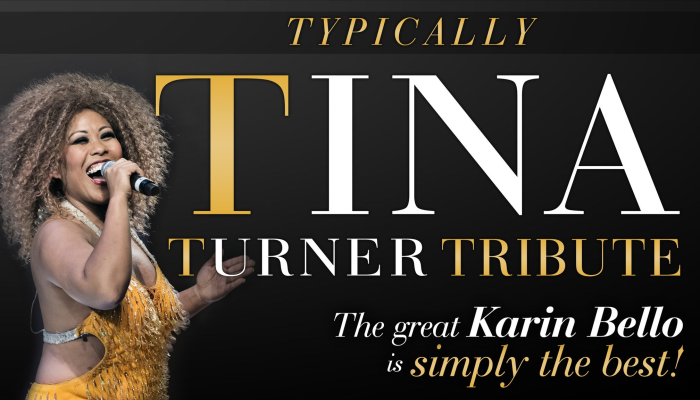 Tina Turner Tribute Show