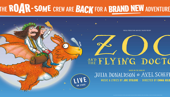 Zog and The Flying Doctors