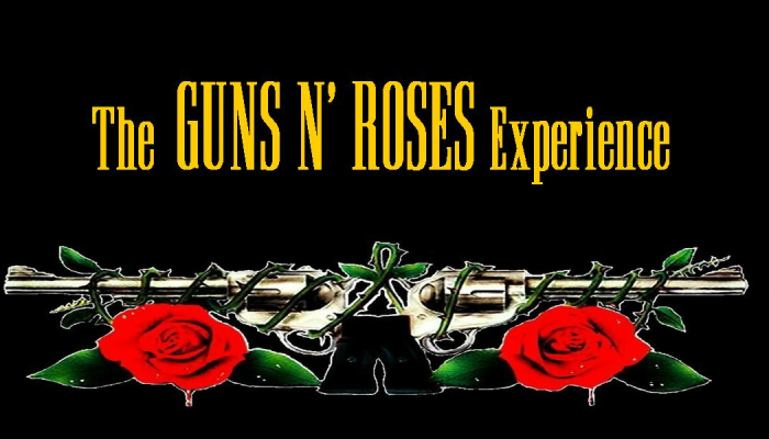Guns N Roses experience