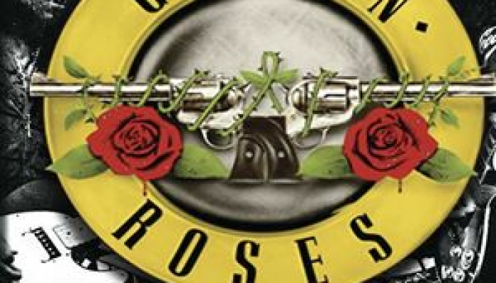 Guns N Roses experience