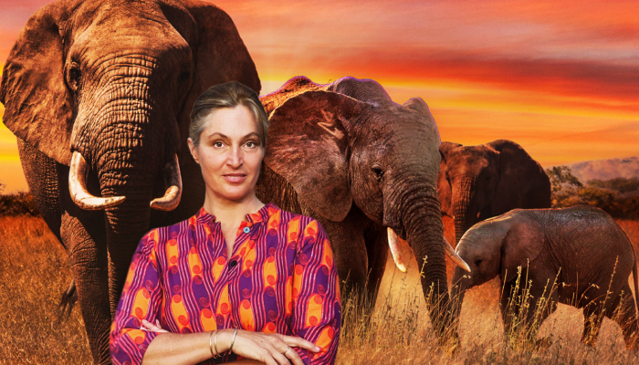 Saba Douglas-Hamilton: In The Footsteps Of Elephants