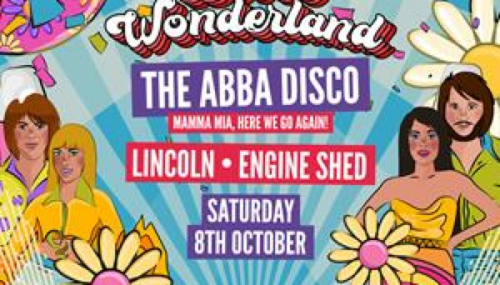 The Abba Disco Wonderland
