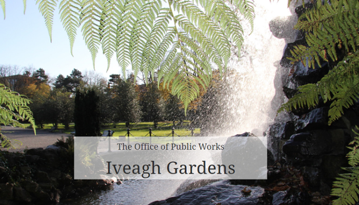 Iveagh Gardens