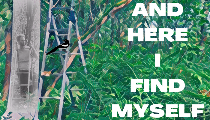 And Here I Find Myself by Wayne Steven Jackson