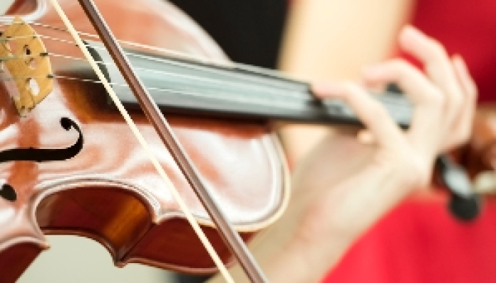 Chamber Music In Focus (6.30pm, Wine/Canapes Incl)