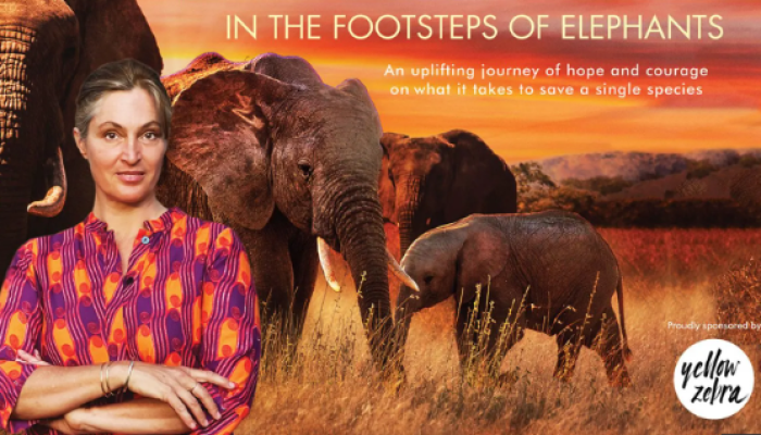 Saba Douglas - Hamilton: The Elephant Footprint