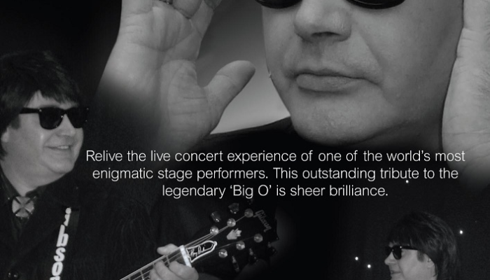 THE ROY ORBISON EXPERIENCE