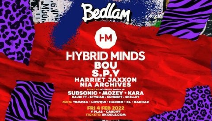 Bedlam in Cardiff ft Hybrid Minds + Bou & More