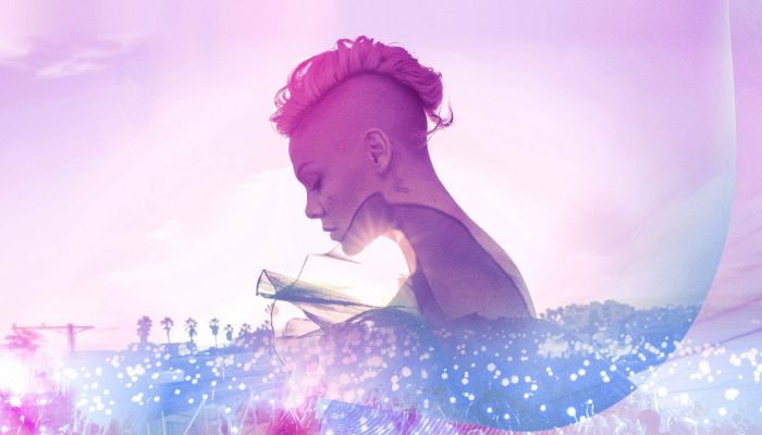 P!nk - Official Premium Ticket and Hotel Experiences