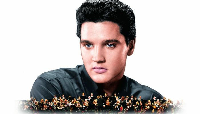 The Best of Elvis In Concert - Live On Screen