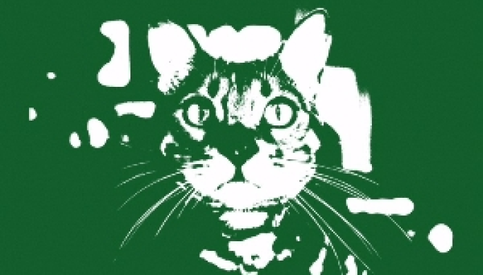 Killjoy Presents - CatBandCat Plus Special Guests