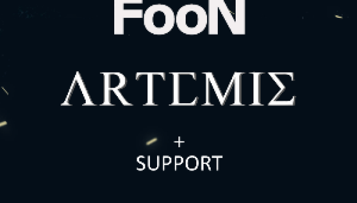 FooN + Artemis