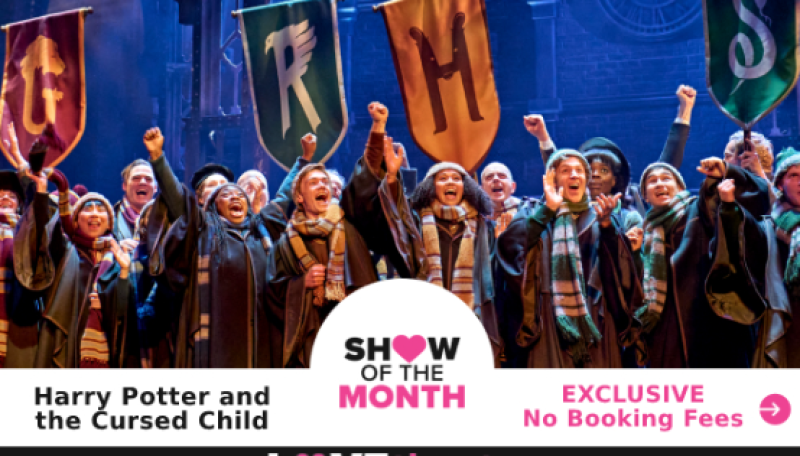 Harry Potter and the Cursed Child  - Show of the Month!