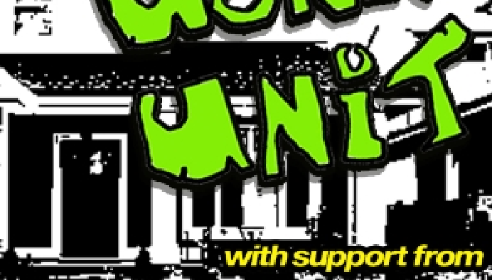 The Skate Punx supporting Wonk Unit
