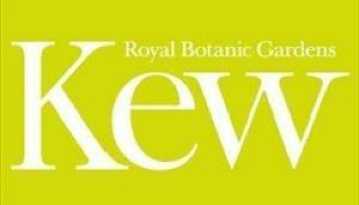Kew Gardens - The Great Pagoda