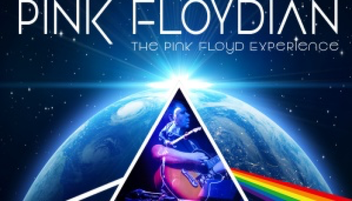 Pink Floydian - Any Colour You Like Tour