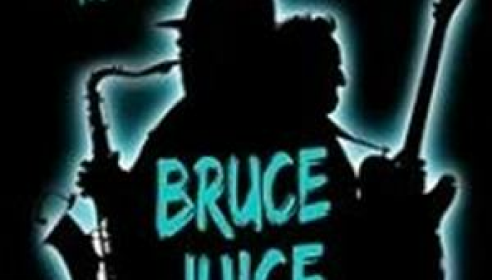 Bruce Juice - The Springsteen Tribute Band