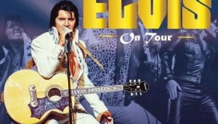 A Vision Of Elvis
