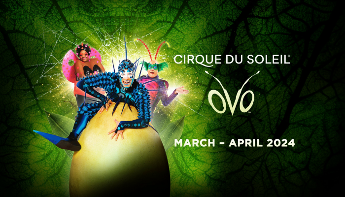 Cirque Du Soleil - OVO - Meet & Greet Upgrade
