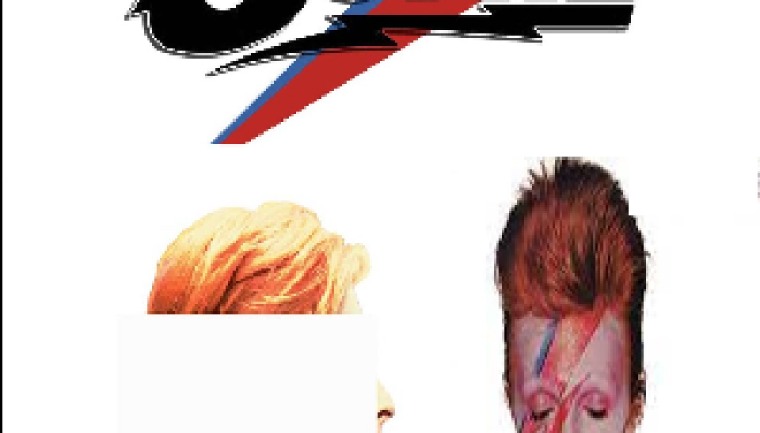 THE BOWIE CONTINGENT