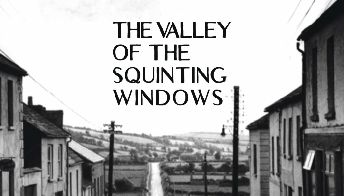 The Valley Of The Squinting Windows