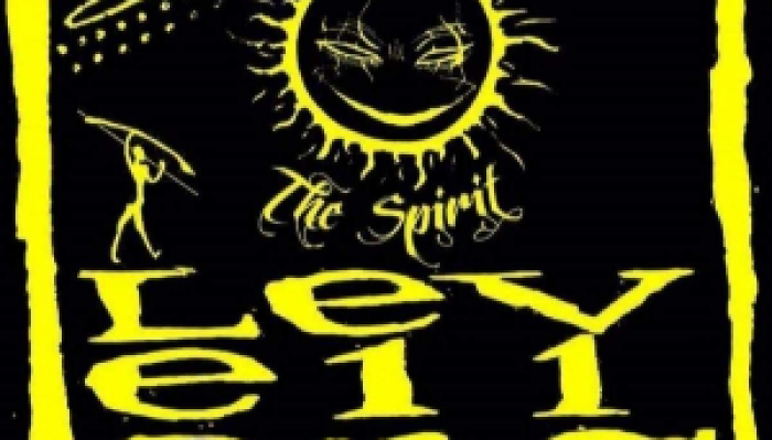 THE SPIRIT - LEVELLERS TRIBUTE