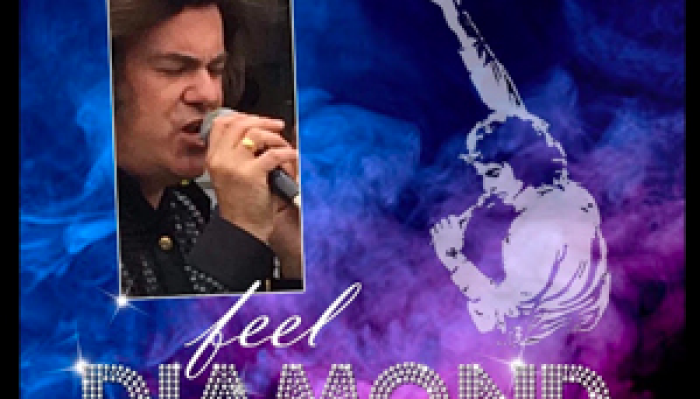 Feel Diamond - Tribute to Neil Diamond