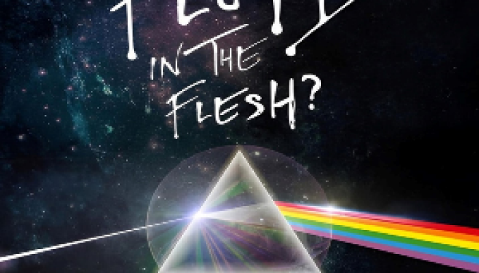 PINK FLOYD IN THE FLESH - TRIBUTE SHOW
