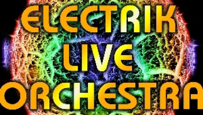 ELECTRIK LIVE ORCHESTRA