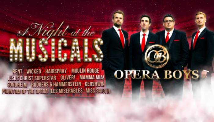 The Opera Boys - A Night At The Musicals