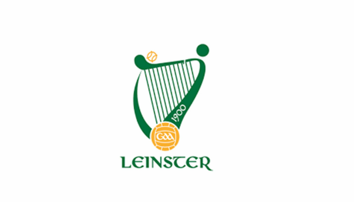 Leinster Senior Hurling Championship Round 1 - Wexford V Dublin