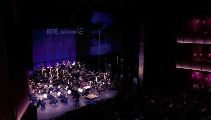 Marty In the Evening with the Rte Concert Orchestra