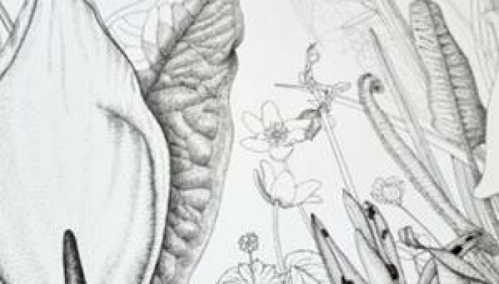 Seasonal Botanical Sketchbook Workshop